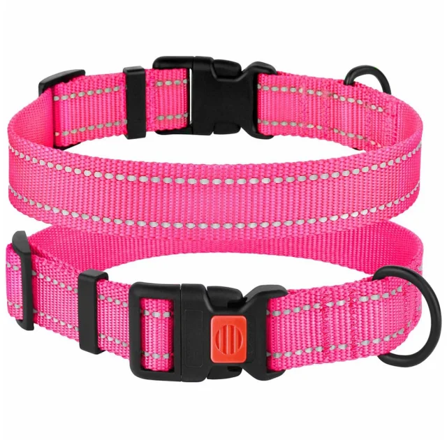 Нашийник BronzeDog Active, для собак, нейлоновий, фастекс пластик, рожевий, 30-40×2 см