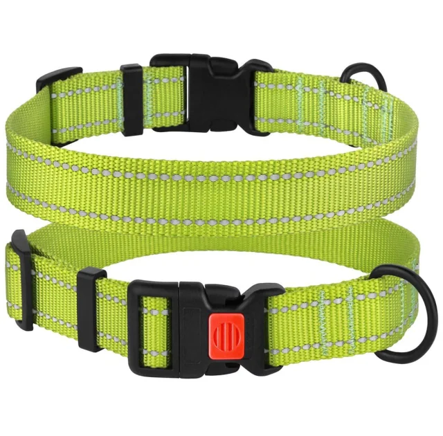 Нашийник BronzeDog Active, для собак, нейлоновий, фастекс пластик, салатовий, 35-53×2.5 см