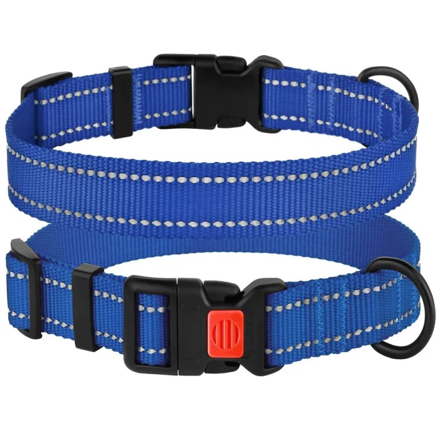 Нашийник BronzeDog Active, для собак, нейлоновий, фастекс пластик, синій, 25-33×1.6 см