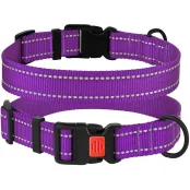 Нашийник BronzeDog Active, для собак, нейлоновий, фастекс пластик, фіолетовий, 30-40×2 см