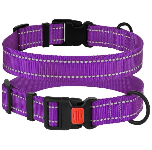 Нашийник BronzeDog Active, для собак, нейлоновий, фастекс пластик, фіолетовий, 30-40×2 см