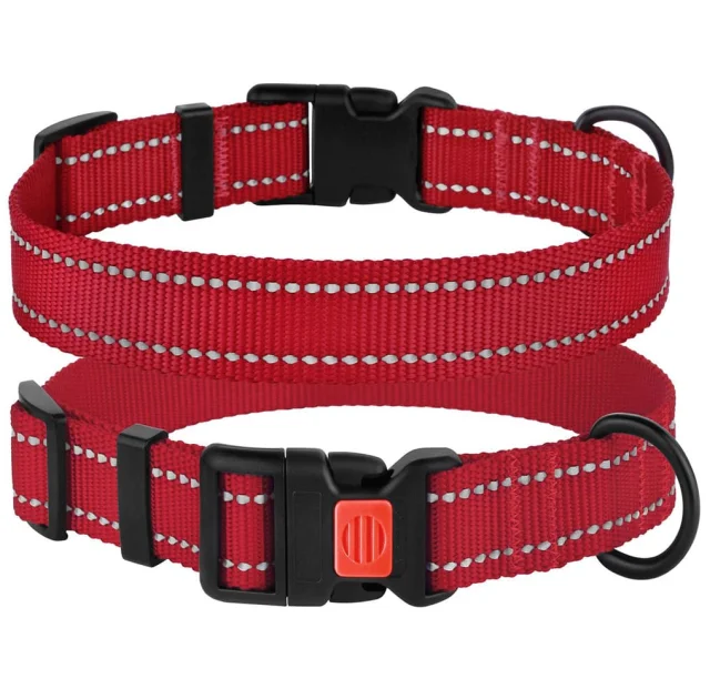 Нашийник BronzeDog Active, для собак, нейлоновий, фастекс пластик, червоний, 30-40×2 см