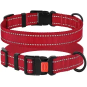 Нашийник BronzeDog Active, для собак, нейлоновий, фастекс пластик, червоний, 35-53×2.5 см