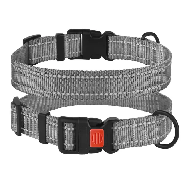 Нашийник BronzeDog Active, для собак, нейлоновий, фастекс пластик, сірий, 30-40×2 см