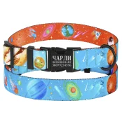 Нашийник BronzeDog Urban Cosmos, для собак, нейлоновий, фастекс метал, блакитний, 18-28×1 см