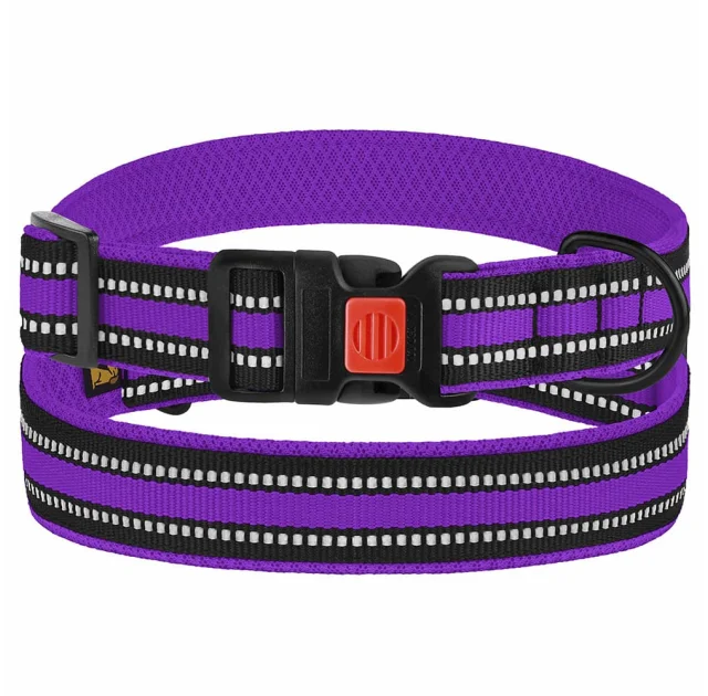Нашийник BronzeDog Urban Mesh, для собак, нейлон і 3-D сітка, фастекс пластик, фіолетовий, 25-33×2 см