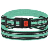 Нашийник BronzeDog Urban Mesh, для собак, нейлон і 3-D сітка, фастекс пластик, ментоловий, 30-40×2 см