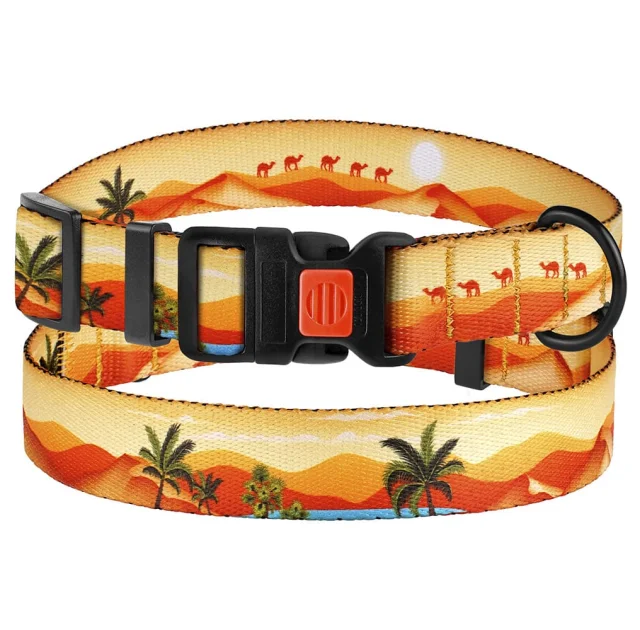Нашийник BronzeDog Urban Travel, для собак, нейлоновий, фастекс пластиковий, принт пустеля, 25-33×1.6 см