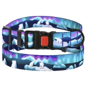 Нашийник BronzeDog Urban Travel, для собак, нейлоновий, фастекс пластиковий, принт Арктика, 43-66×2.5 см