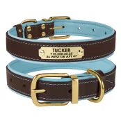 Нашийник BronzeDog для собак, шкіряний, з литою латунної фурнітурою, коричнево-блакитний, 40×1.7 см