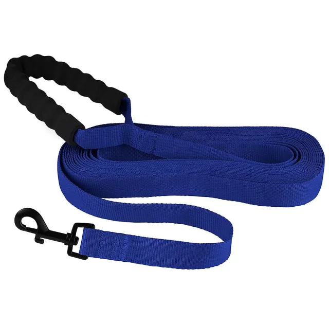 Повідець BronzeDog Active для собак, нейлоновий з м'якою ручкою, синій, 6 м×2.5 см