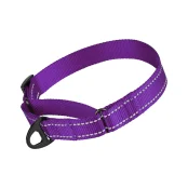 Нашийник-полуудавка BronzeDog Active для собак, світловідбиваючий нейлон, фіолетовий, 41-61 см