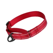 Нашийник-полуудавка BronzeDog Active для собак, світловідбиваючий нейлон, червоний, 41-61 см