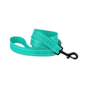 Повідець BronzeDog Active для собак, світловідбиваючий нейлон, бірюзовий, 152×1 см