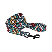 Повідець BronzeDog Tribal для собак, нейлон, принт гуцульський, ментоловий, 152×1 см