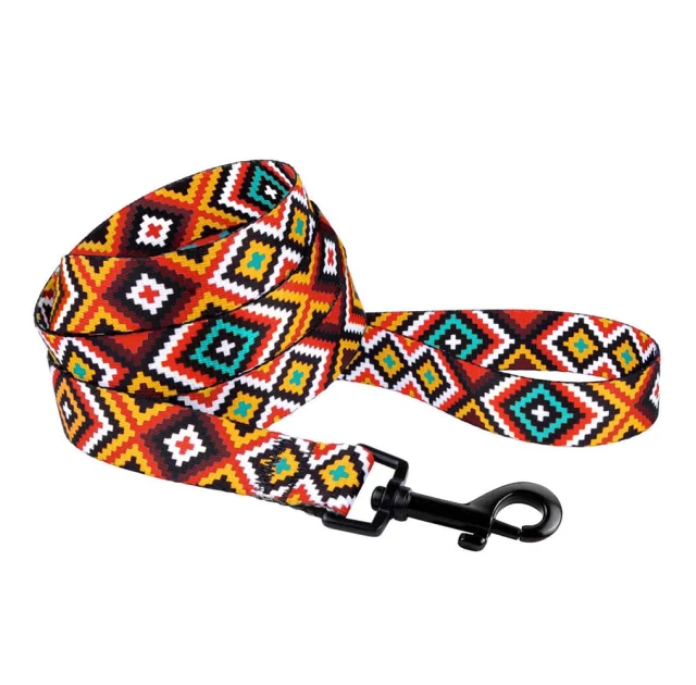 Повідець BronzeDog Tribal для собак, нейлон, принт гуцульський, помаранчевий, 152×1.6 см
