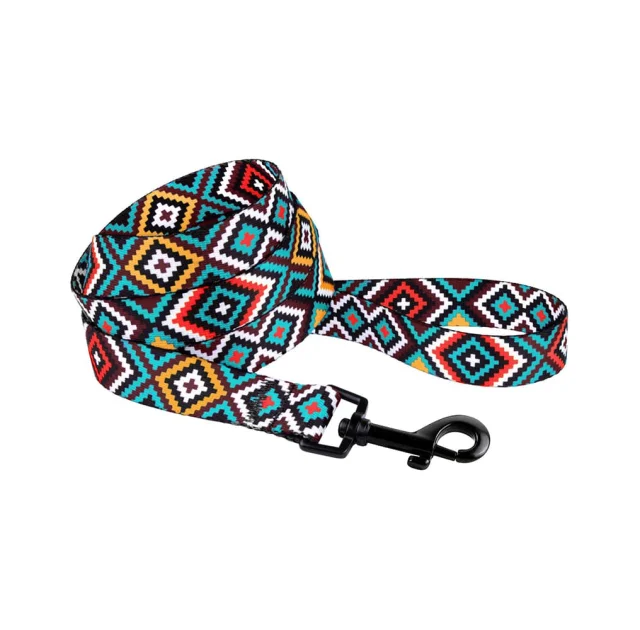 Повідець BronzeDog Tribal для собак, нейлон, принт гуцульський, ментоловий, 152×2.5 см