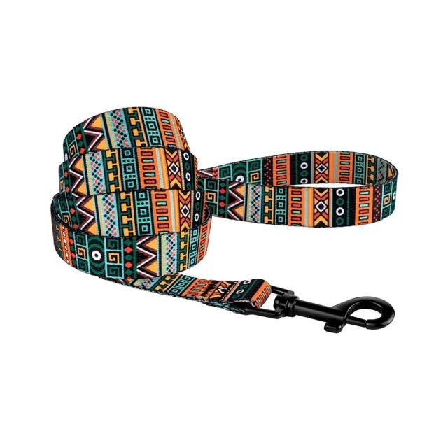 Повідець BronzeDog Tribal для собак, нейлон, принт етнічний, ментоловий, 152×1 см