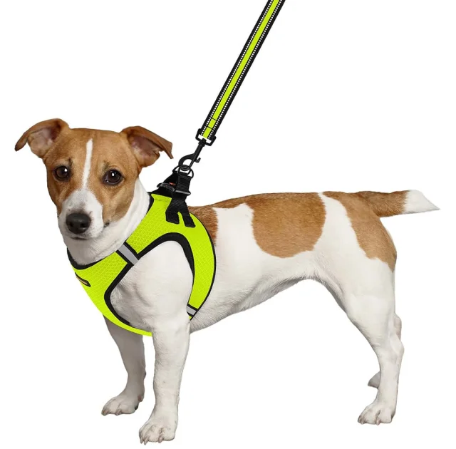 Шлея BronzeDog Mesh Vest для собак, сетчатый нейлон, лимонный, 43-53 см