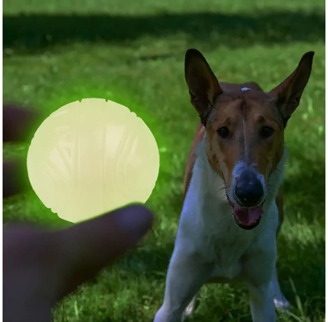 Игрушка-мяч для собак BronzeDog Skipdawg Neon Glow ball, светонакопительнная, 7 см