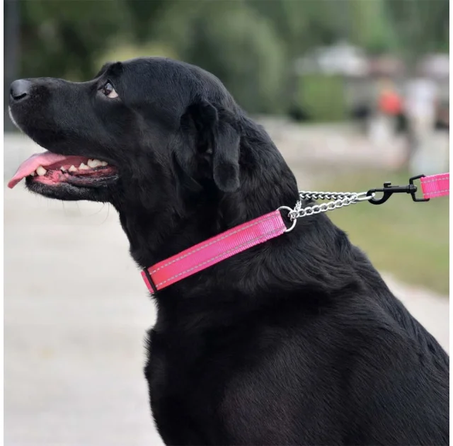 Нашийник-полуудавка BronzeDog, для собак, нейлоновий, фастекс, світловідбиваючий, рожевий, 35-43×2 см