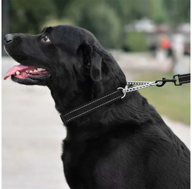 Нашийник-полуудавка BronzeDog, для собак, нейлоновий, фастекс, світловідбиваючий, чорний, 41-55×2.5 см