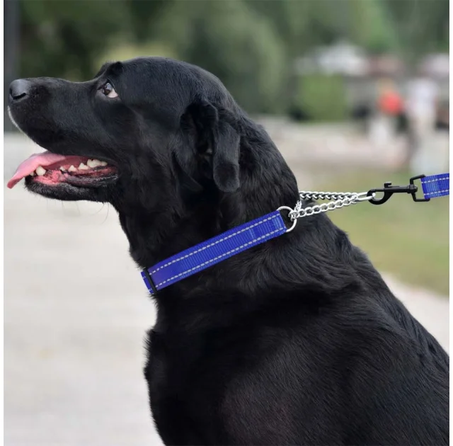 Нашийник-полуудавка BronzeDog, для собак, нейлоновий, фастекс, світловідбиваючий, синій, 30-38×1.6 см
