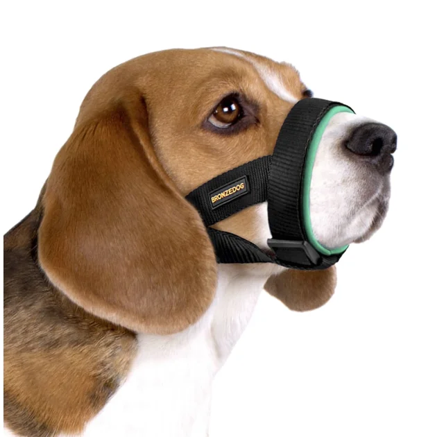 Намордник BronzeDog, для собак, універсальний, неопреновий, бірюзовий, 28-33 см