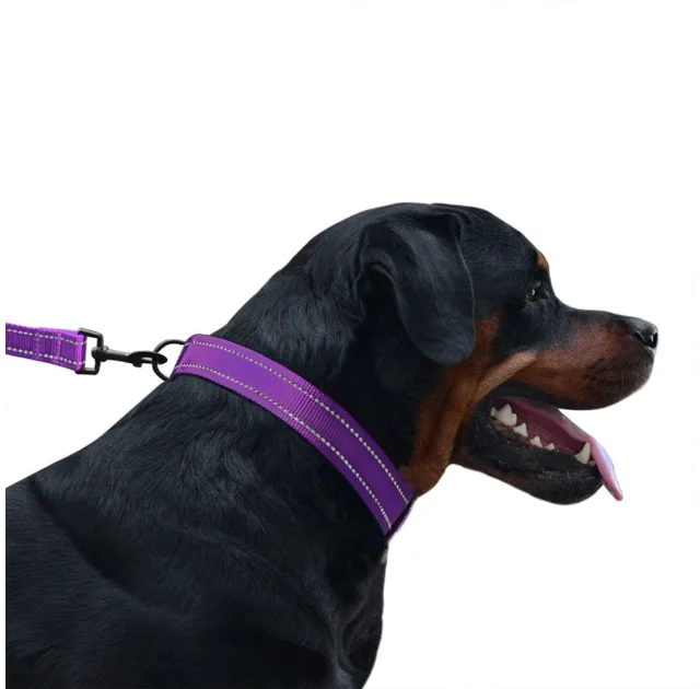 Нашийник BronzeDog Active, для собак, нейлоновий, фастекс пластик, фіолетовий, 25-33×1.6 см
