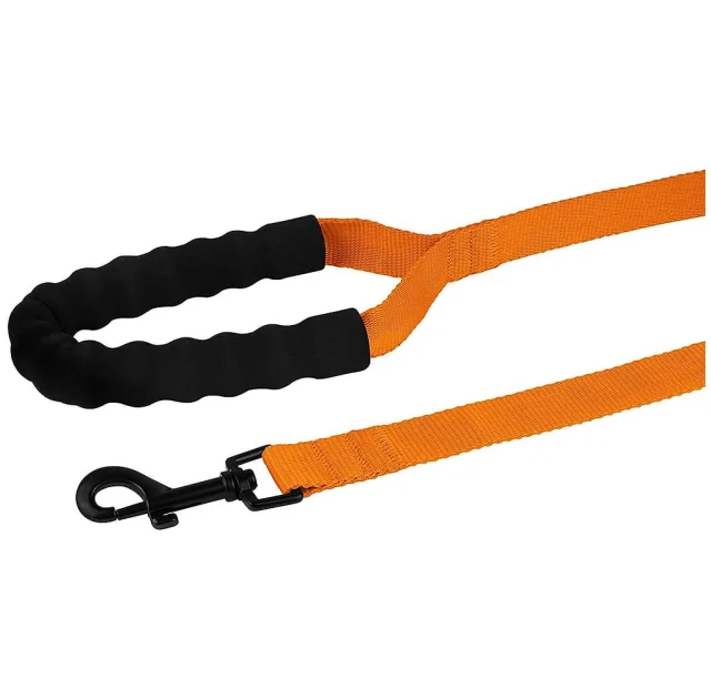 Повідець BronzeDog Active для собак, нейлоновий з м'якою ручкою, помаранчевий, 6 м×2.5 см
