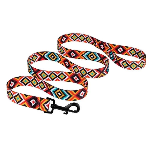 Повідець BronzeDog Tribal для собак, нейлон, принт гуцульський, помаранчевий, 152×1.6 см