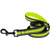 Повідець BronzeDog Mesh для собак, сітчастий нейлон, лимон, 200×2.5 см