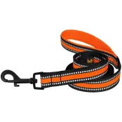 Повідець BronzeDog Mesh для собак, сітчастий нейлон, помаранчевий, 200×1.6 см