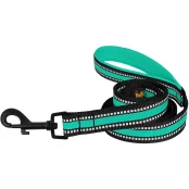 Повідець BronzeDog Mesh для собак, сітчастий нейлон, ментоловий, 200×2 см