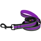 Повідець BronzeDog Mesh для собак, сітчастий нейлон, фіолетовий, 200×2 см