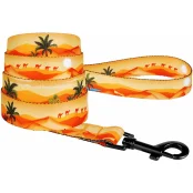 Повідець BronzeDog Travel для собак, нейлон, принт пустеля, 152×2 см