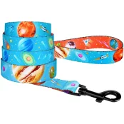 Повідець BronzeDog для собак, нейлон, принт космос, блакитний, 152×1.6 см