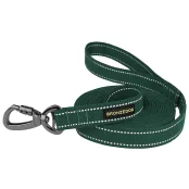 Повідець BronzeDog Cotton для собак, брезент з карабіном на замку, зелений, 500×3.2 см