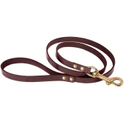 Повідець BronzeDog для собак, шкіряний, лита латунна фурнітура, коричневий, 122×1 см