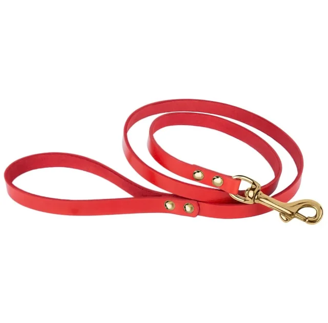 Поводок BronzeDog для собак, кожаный, литая латунная фурнитура, красный, 122×1 см