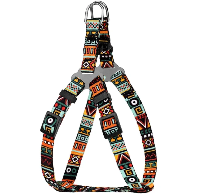 Шлея BronzeDog Tribal для собак, нейлон, принт этнический, ментоловый, 28-40 см