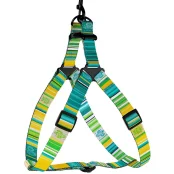 Шлея BronzeDog Urban West для собак, нейлон, салатовый, 57-73 см