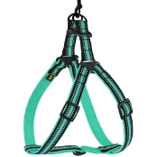 Шлея BronzeDog Mesh Стандарт для собак, сітчастий нейлон, ментоловий, 57-73 см