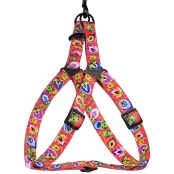 Шлея BronzeDog Folk для собак, нейлон з нашивкою, принт квіти, кораловий, 58-71 см