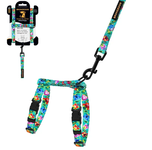 Шлея с поводком BronzeDog Folk для собак и кошек, нейлон, принт цветы, ментоловый, 2ХS