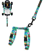 Шлея с поводком BronzeDog для собак и кошек, нейлон, принт цветы Etno, ментоловый, ХS
