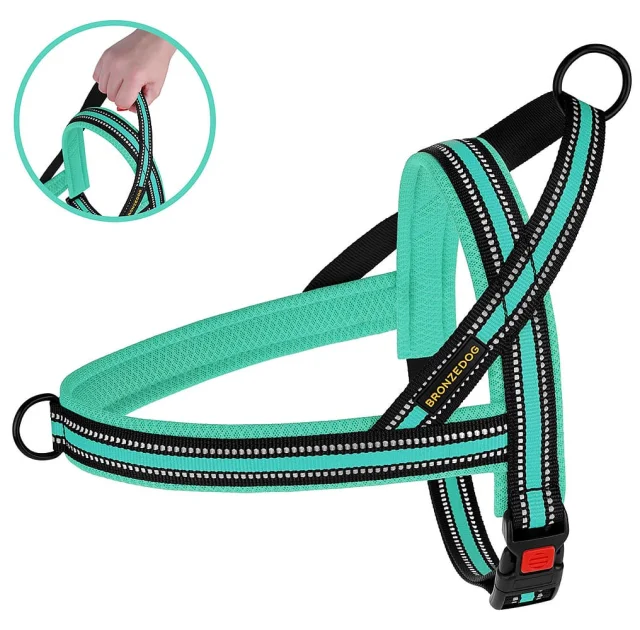 Шлея BronzeDog Mesh Скандинавская для собак, ментоловый, 32-38 см