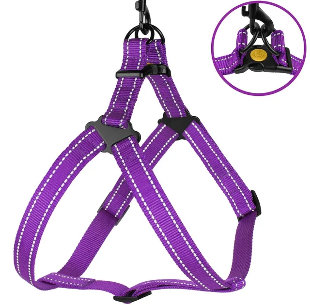 Шлея BronzeDog Active для собак, светоотражающий нейлон, фиолетовый, 45-60 см