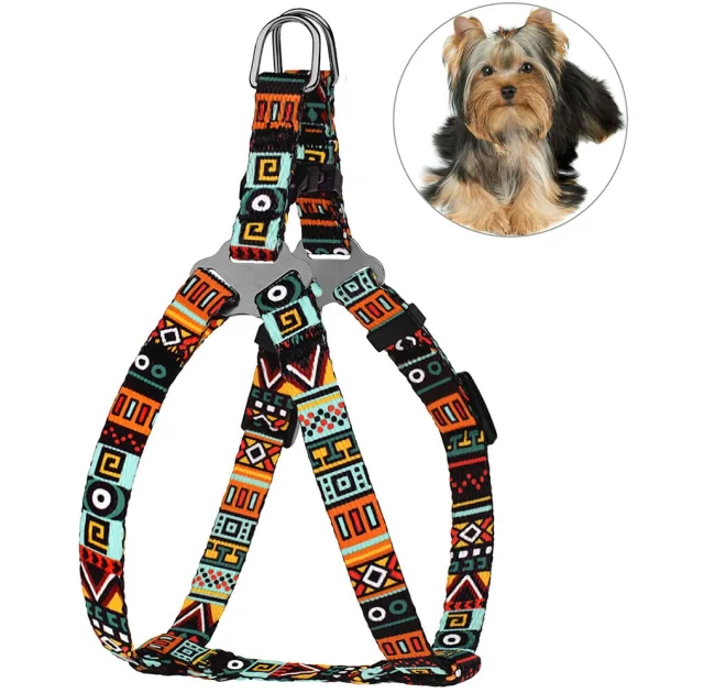 Шлея BronzeDog Tribal для собак, нейлон, принт этнический, ментоловый, 28-40 см