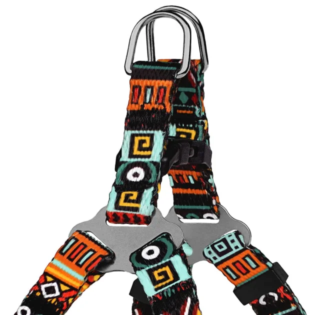 Шлея BronzeDog Tribal для собак, нейлон, принт этнический, ментоловый, 28-40 см